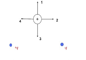На рисунке показана картина силовых линий создаваемых двумя неподвижными разноименными зарядами